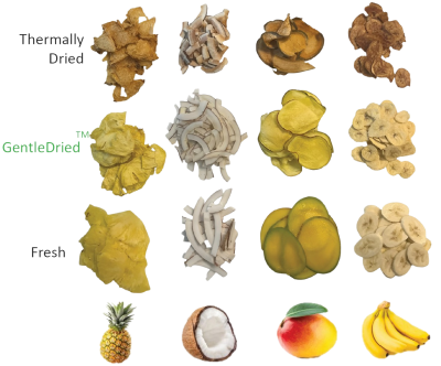 CanDry’s product display showing various fruits at different levels of driedness, each labeled with a description indicating the moisture content or drying stage.